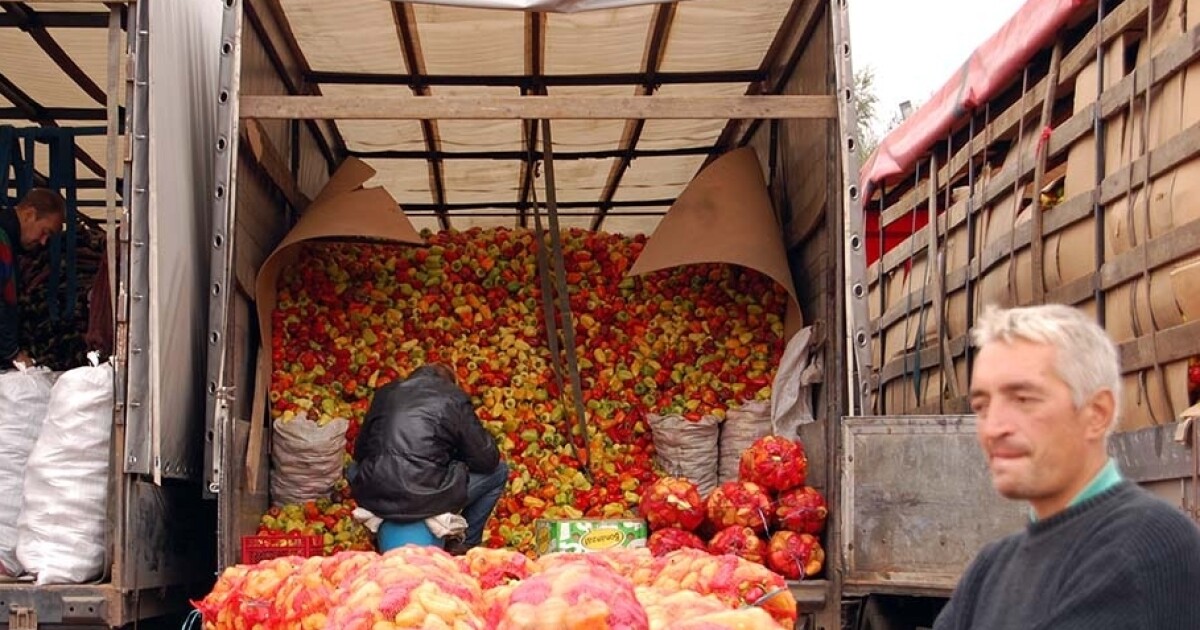 Жилкина овощебаза. Овощебаза ижевск пойма. Интерьер овощебаза с арбузами. Бирюлевская овощебаза. Софийская овощебаза санкт-петербург.