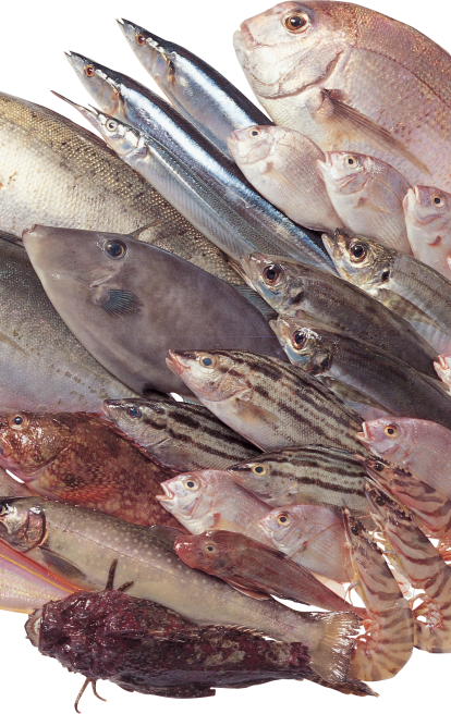 Лов рыбы в нерестовый период - советы и рекомендации
