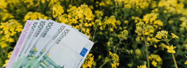 Заробітчан більше не цікавить Польща. Куди їдуть сезонні працівники?