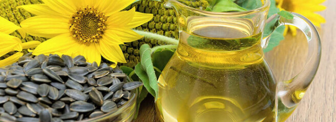 Итоги года: Украина экспортировала подсолнечное масло на $6,4 млрд