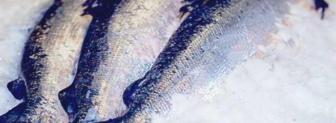Украина за прошлый год увеличила импорт рыбы и морепродуктов на 28%