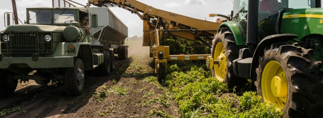 Україна втратила понад 1200 агрокомпаній за час війни. Які ще бізнеси закриваються