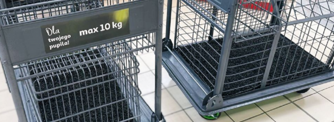 Auchan тестирует тележки для собак в гипермаркетах Польши
