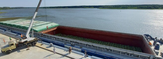 Через реку — на полки «Сільпо»: 300 тонн херсонских арбузов прибыли на барже в столичные супермаркеты