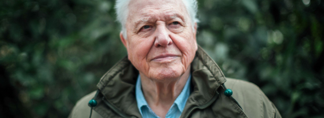 Сер Девід Аттенборо закликає перейти до вегетаріанства: Земля не витримає мільярди хижаків