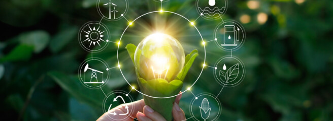 Усі магазини Lidl перейдуть на зелену енергію вже у 2022 році