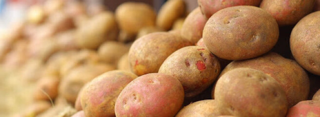 Україна переключилася на експорт картоплі