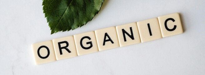 Україна увійшла до трійки найбільших постачальників органічної продукції до ЄС