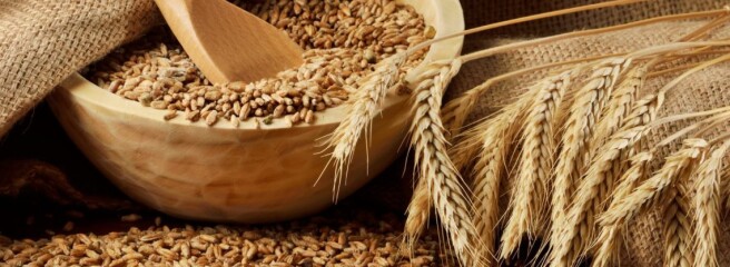 Україна може повторити минулорічний рекордний врожай зерна – Асоціація