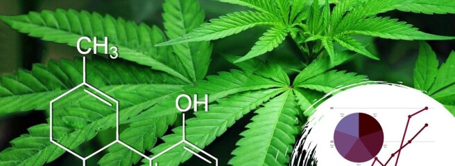 Польща хоче розвивати новий сектор сільського господарства