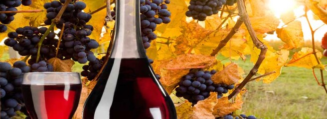 З 1 січня в Україні скасують акцизні марки для деяких вин