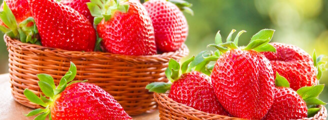 На Тернопольщине половину ягодных насаждений занимает клубника