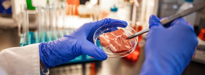 Nestle работает над тем внедрением в свой ассортимент лабораторного мяса