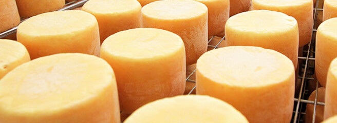 У партнерстві з «Молокією» в Україні побудують новий завод із виробництва твердих сирів