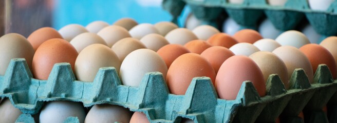 Разючі цифри: м’ясо птиці та яйця з України заполонили полиці у Євросоюзі
