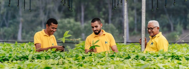 Mars повідомила про рекордне скорочення викидів на тлі суттєвого зростання бізнесу