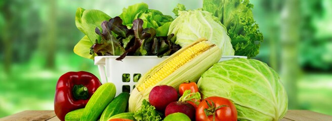 Тарас Качка: Соглашение о свободной торговле с Турцией не угрожает украинским производителям овощей