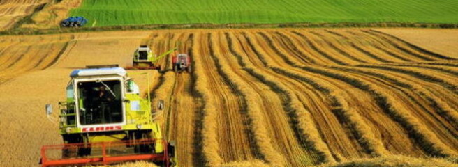 Україна з початку року збільшила експорт аграрної продукції на 6%