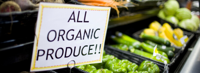 В Україні налічують понад 470 органічних підприємств