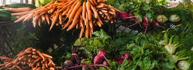 Кабмин распространил льготное кредитование на создание овощехранилищ