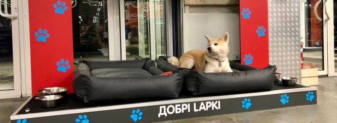 «Епіцентр» обладнав постійні зони для відпочинку тварин