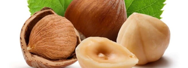 Туреччина експортувала фундука майже на $1,5 млрд.