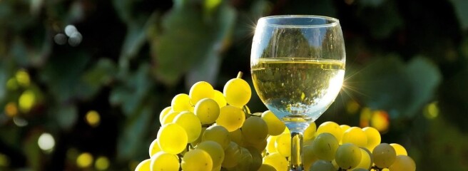 Власти Франции спрогнозировали "исторически низкий" объем производства вина